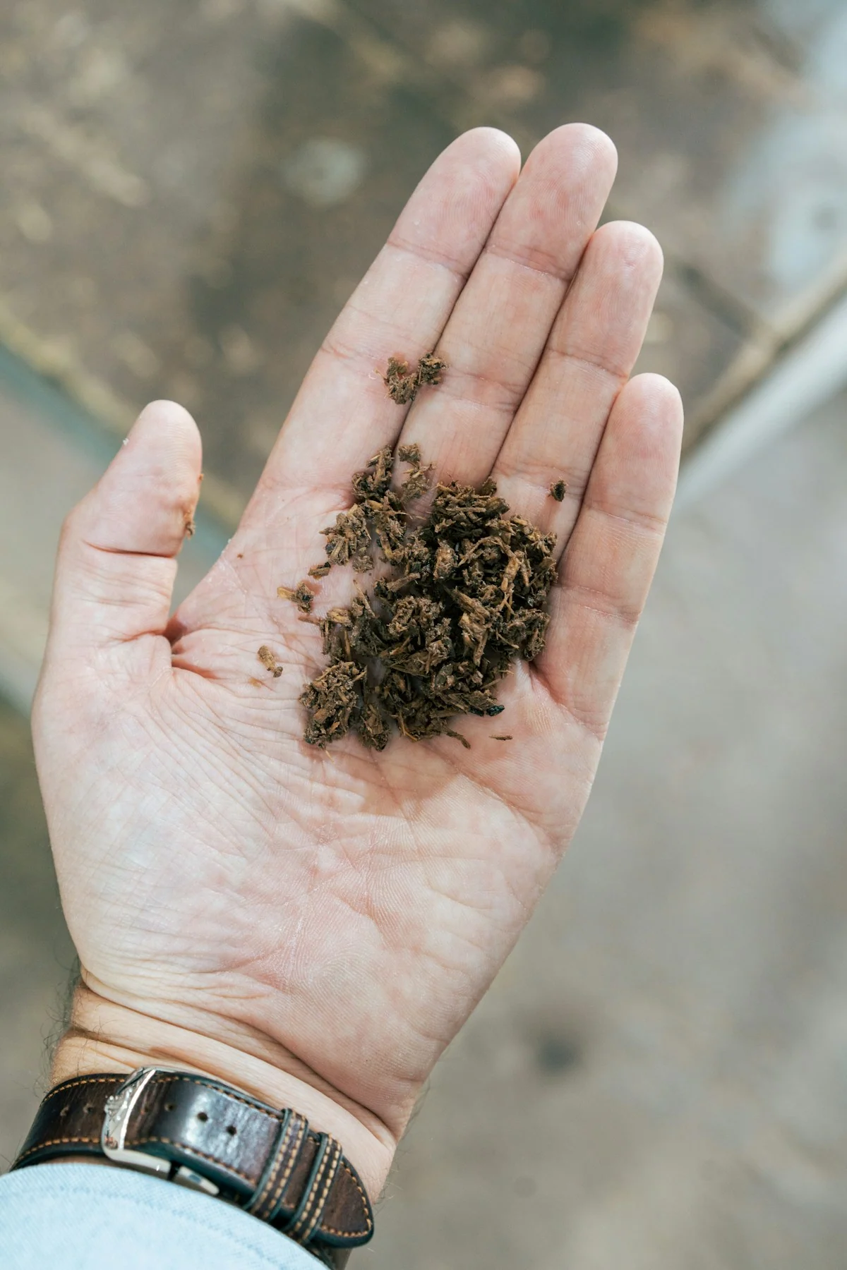 A handful of soil being examined